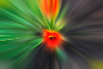 red flower in abstract blur