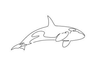 Obraz premium Hand drawn Orca killer whale in one line, isolated vector illustration
