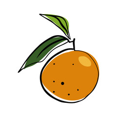 Flat illustration of a tangerine in a stle of doodles. Stylized vector graphics.