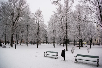 bench in the park