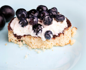 tartlet with chocolate and buttercream with blueberries