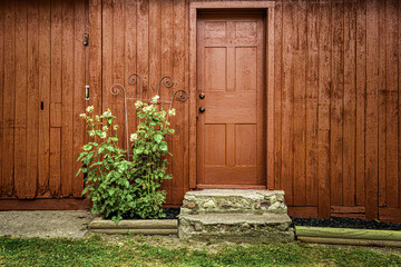 Wooden brown house facade with a brown door and a green plant