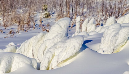 Snow-covered dry grass and branches of shrubs on the mountainside close-up in winter