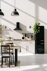 Contemporary kitchen interior design with household appliances and furniture