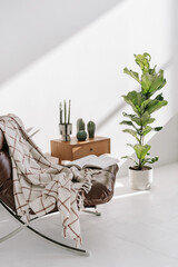 Home decor, houseplant and armchair in room