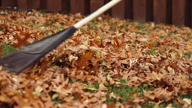 Raking leaves in the yard on a cool, fall day at 120fps