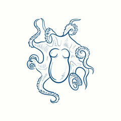 Octopus Hand-drawn realistic. Oceans nature in vintage style.