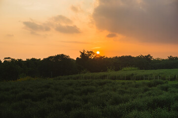 Beautiful sunset in the rural countryside. Natural summer landscape