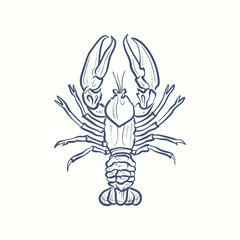 Lobster vector icon. Outline,line vector icon isolated on white background lobster.
