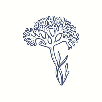 recommend clip art: Seaweeds silhouettes. Underwater coral reef, hand drawn sea kelp plant, isolated marine weeds outdoor ocean.