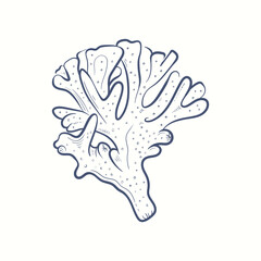 Seaweeds silhouettes. Underwater coral reef, hand drawn sea kelp plant, isolated marine weeds outdoor ocean.