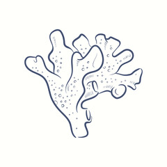 Seaweeds silhouettes. Underwater coral reef, hand drawn sea kelp plant, isolated marine weeds outdoor ocean.