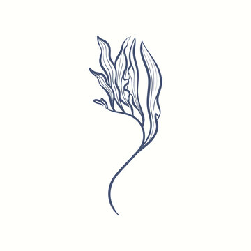 recommend clip art: Seaweeds silhouettes. Underwater coral reef, hand drawn sea kelp plant, isolated marine weeds outdoor ocean.