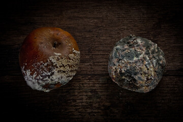 Closeup of rotten apples with mold on them on a wooden surface