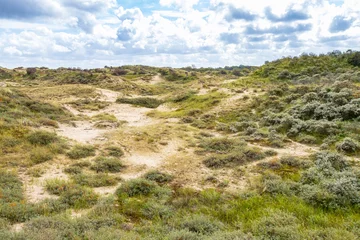 Foto auf Alu-Dibond Landscape Nationaal Park Hollandse Duinen with dunes under a clouded sky © Sander Meertins