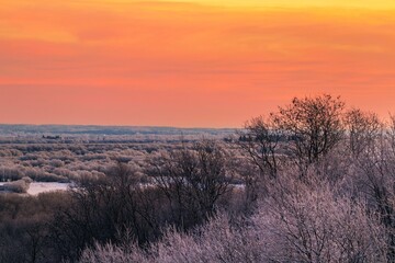 Beautiful orange sky over the treetops as seen from the top of the hill. Calm winter landscape