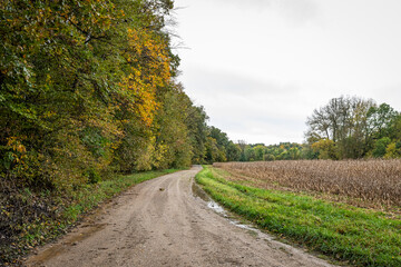 Indiana Dirt Road