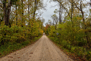 Fototapeta premium Indiana Dirt Road
