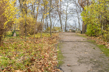 Fototapeta na wymiar alley with trees and bushes in the autumn park