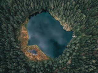 Aerial view of the small pond in the middle of forest. A small dock on the shore.