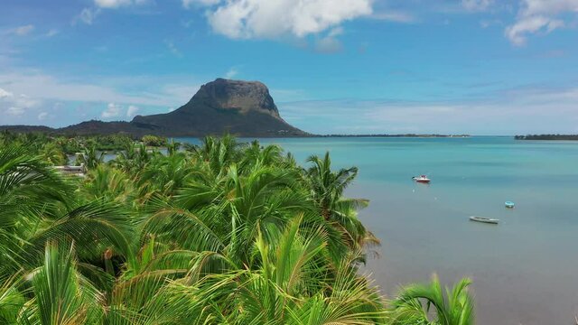 Tropical beach in Mauritius. Beach with palm trees and blue transparent ocean. Aerial view