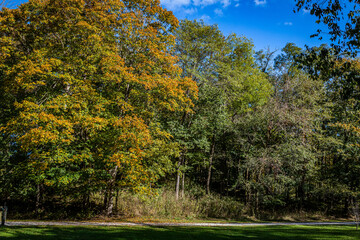 Fototapeta premium Autumn in Parke County Indiana