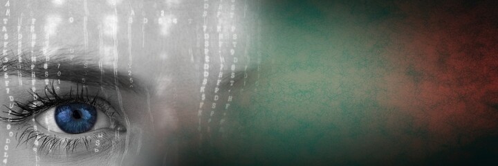 Composite image of binary coding data processing over close up of a female eye and grunge background - Powered by Adobe