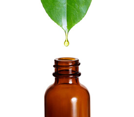 Essential oil isolated on white background. Herbal essence dropping from fresh leaf to the bottle	 - 475572409