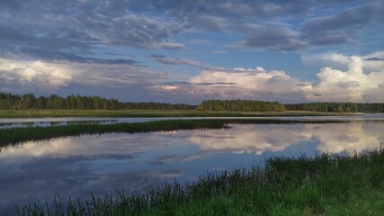 The river bank is covered with grass, and reeds grow in the water near the shore.  The sky and clouds are reflected in the calm water. A forest grows on the opposite bank