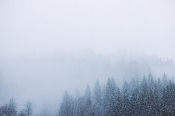 Abstract winter landscape with peaks and forest, on a foggy morning mountains. Beautiful panorama of winter forest.