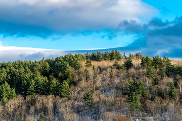 Foto op Canvas Snow covered hill with pine and maple trees with crystal blue sky and white clouds. © ELiTE POV