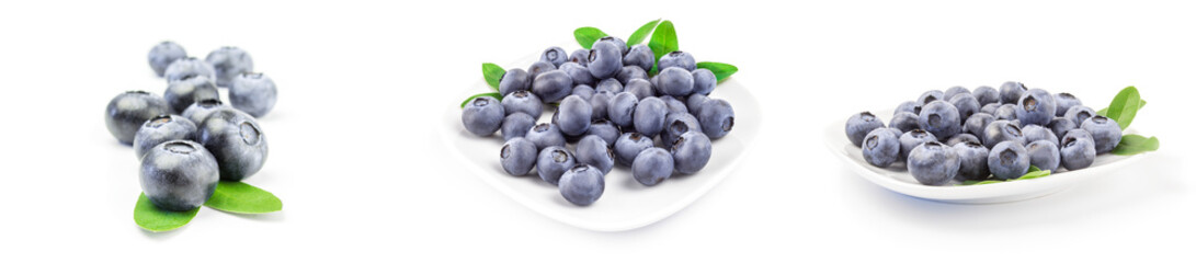 Set of bogbilberry close-up on white
