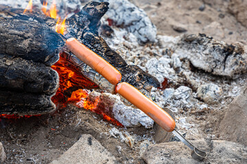 Obraz premium Two delicious pink sausages on a metal skewer fried for a picnic are in a fireplace in the forest