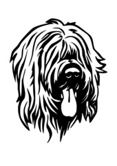 Briard Hirtenhund