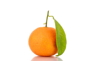 One bright orange ripe tangerine, close-up, isolated on white.