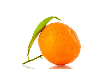 One bright orange ripe tangerine, close-up, isolated on white.