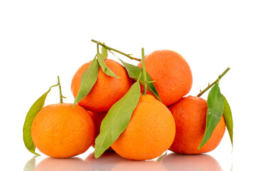 Several bright orange ripe tangerines, close-up, isolated on white.