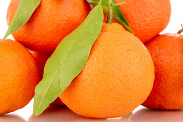 Several bright orange ripe tangerines, close-up, isolated on white.