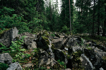 picturesque nature in north Karelia