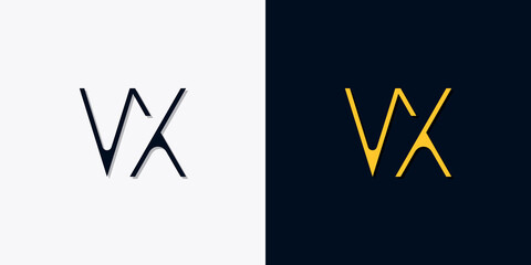 Minimalist abstract initial letters VX logo.