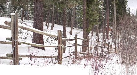 An old wooden farm fence in winter leading off into the snow with a forest in the background.