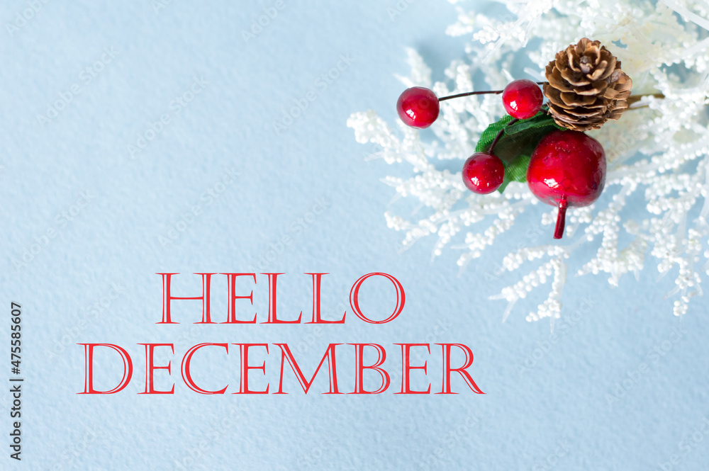 Poster hello december text on the background of a row of white branch and red berries with a cone