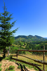 Fototapeta na wymiar Summer landscape in the Carpathians, Pestera Village, Romania, Europe