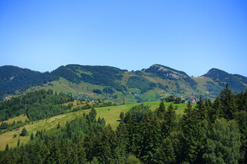 Fototapeta na wymiar Summer alpine landscape of Bucegi Mountains, Romania, Europe