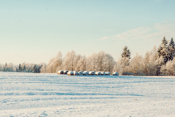 scenic winter landscape of a haystacks and forest and snow