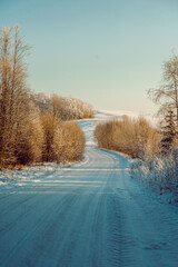 winter road in the field surrounded by trees with no leaves