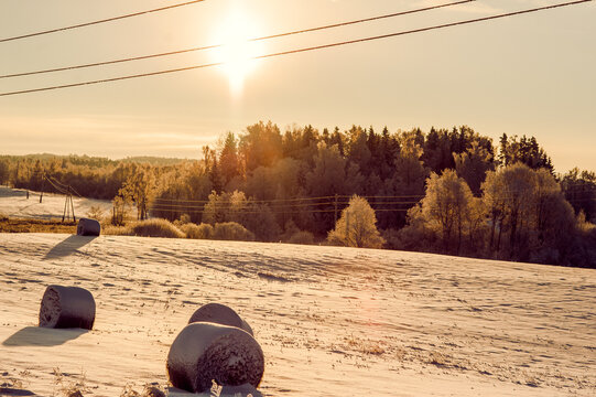Scenic view of haystacks, winter sunset in the countryside