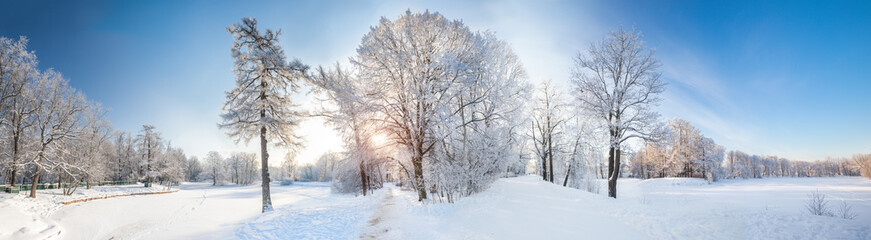 Fototapeta na wymiar Panorama of beautiful winter park