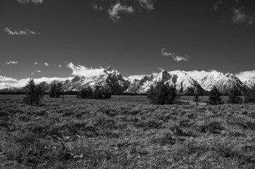 Grayscale shot of a field with dense greenery and background of snowy mountains on a sunny day