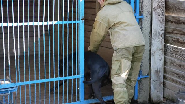 Black Cane Corso entering dog house with Caucasian man closing mesh gate in slow motion. Animal leaving in dog shelter with empathetic male caregiver outdoors